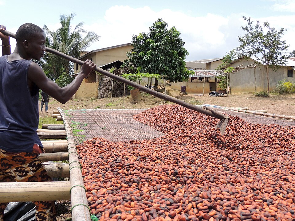 Agriculteur en Afrique de l'Ouest - AgroPrix